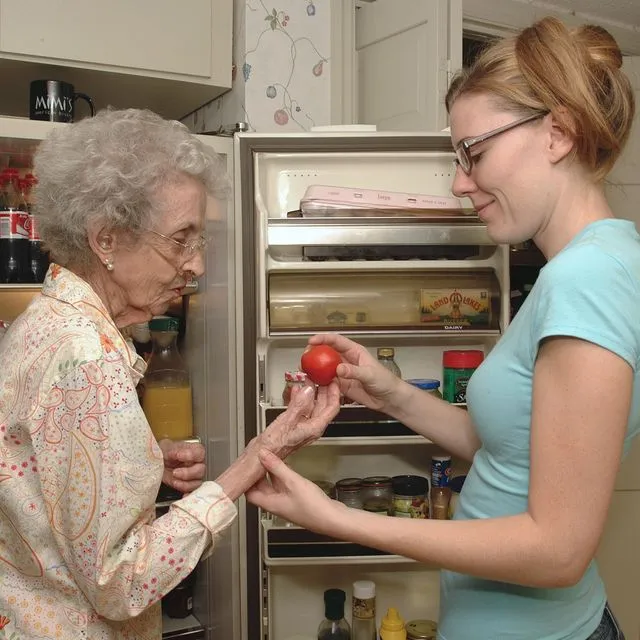 thumbnail for publication: Home and Community-Based Services for Florida’s Seniors: Florida Department of Elder Affairs — The Mandate and Services